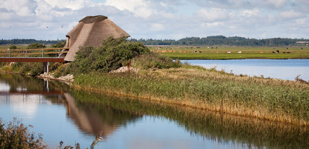 Vejlernes Naturcenter. Foto: Mattias Bodilsen Vejlernes Naturcenter. Foto: Mattias Bodilsen