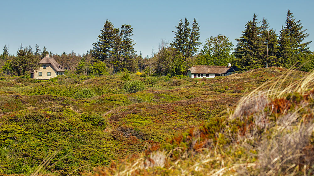 Sommerhuse i Andrupbjerge ved Grønnestrand. Foto: Mattias Bodilsen