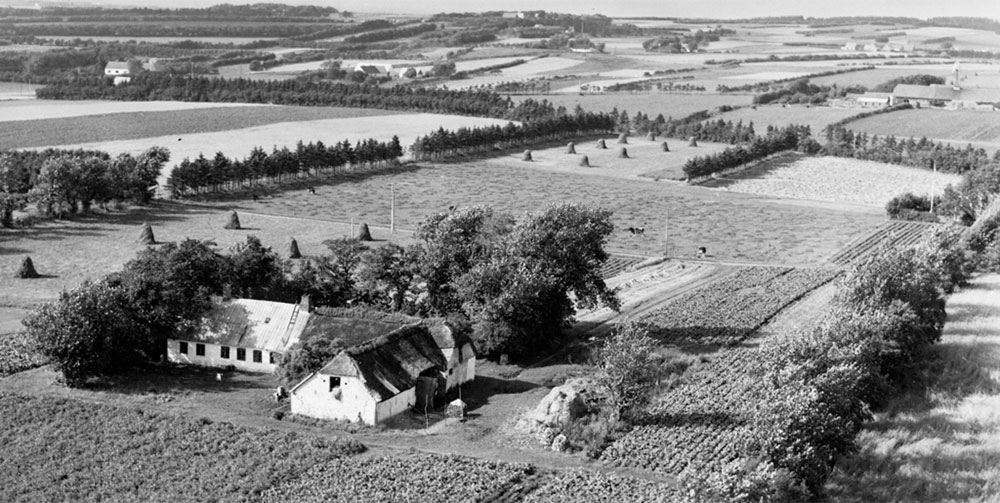 Arne Jensbyes hjem på Aagaards Mark (nuværende Lejrmarksvej 66) på luftfoto fra 1954. Aalborg Luftfoto; Det Kgl. Bibliotek.